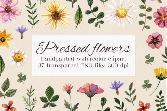 Elevating Brand Aesthetics with High-Resolution Watercolor Flower Clipart PNG