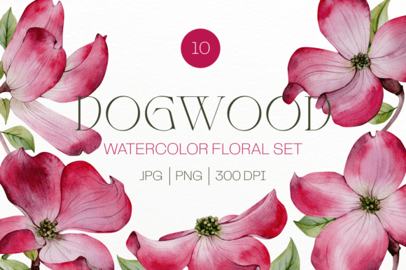 Elevating Creative Projects with Pink Watercolor Dogwood Flower Cliparts
