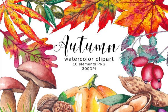 Enhance Designs with Fall Clipart and Autumn Leaves PNG