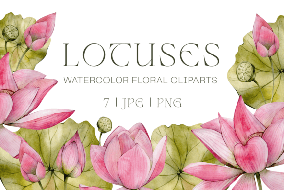 Integrating the Watercolor Pink Lotuses Clipart Set into Professional Design Workflows
