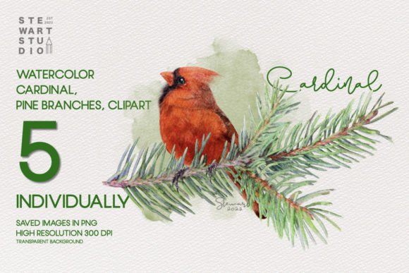 Watercolor Cardinal and Pine Branches Art
